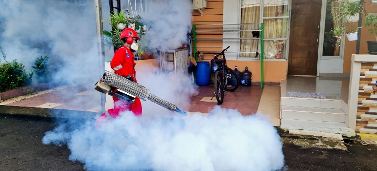 Smoke used for pest control.