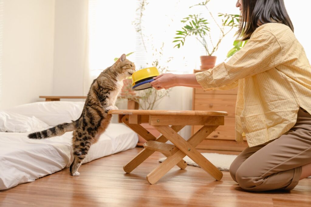 woman feeding her cat at home