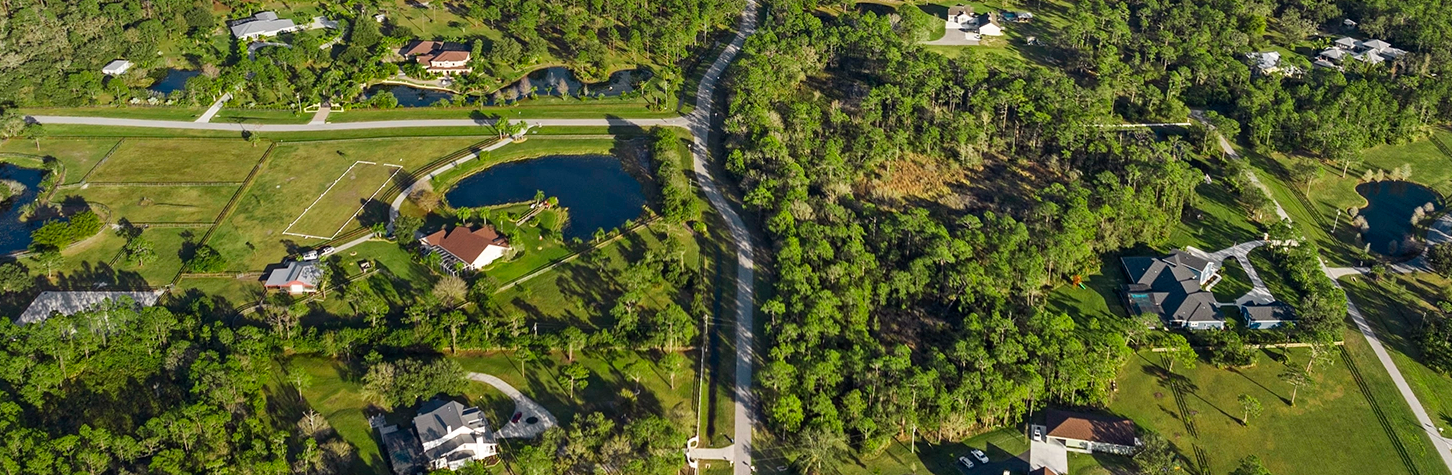 Panther Ridge Market Report